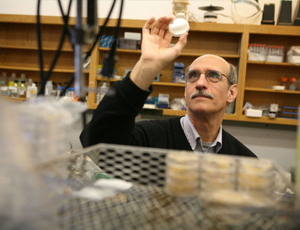 永久授权商城的在线ddos网页端