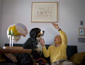 ddos压力测试网页端