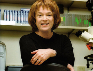 ddos压力测试网页端