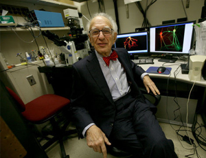 ddos攻击防御手段